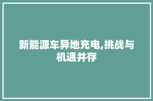 新能源车异地充电,挑战与机遇并存