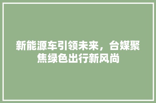 新能源车引领未来，台媒聚焦绿色出行新风尚  第1张