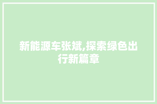 新能源车张斌,探索绿色出行新篇章