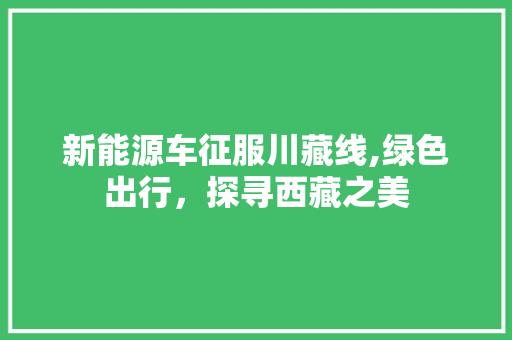 新能源车征服川藏线,绿色出行，探寻西藏之美