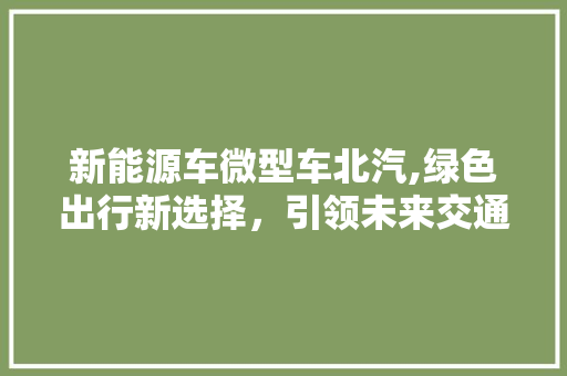 新能源车微型车北汽,绿色出行新选择，引领未来交通潮流