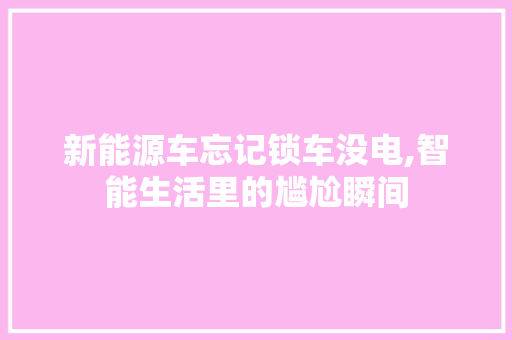 新能源车忘记锁车没电,智能生活里的尴尬瞬间