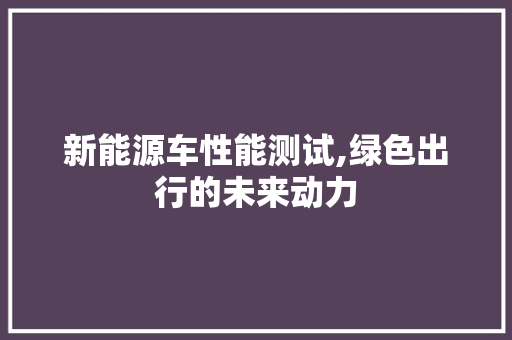 新能源车性能测试,绿色出行的未来动力