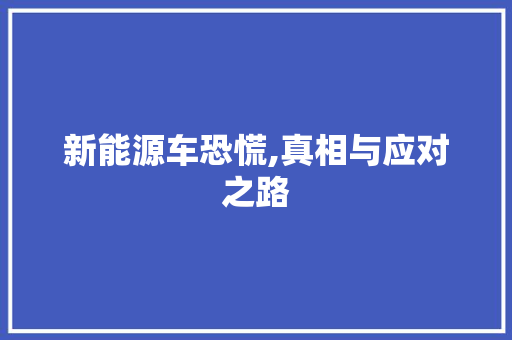 新能源车恐慌,真相与应对之路