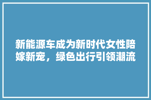 新能源车成为新时代女性陪嫁新宠，绿色出行引领潮流