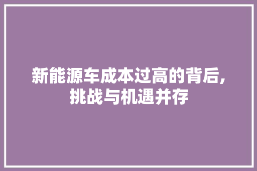 新能源车成本过高的背后,挑战与机遇并存