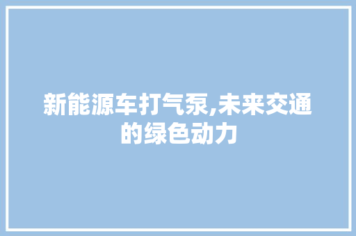 新能源车打气泵,未来交通的绿色动力