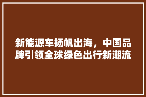 新能源车扬帆出海，中国品牌引领全球绿色出行新潮流