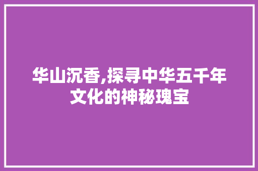 华山沉香,探寻中华五千年文化的神秘瑰宝