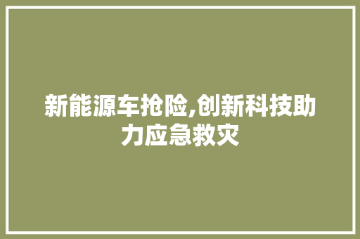 新能源车抢险,创新科技助力应急救灾  第1张