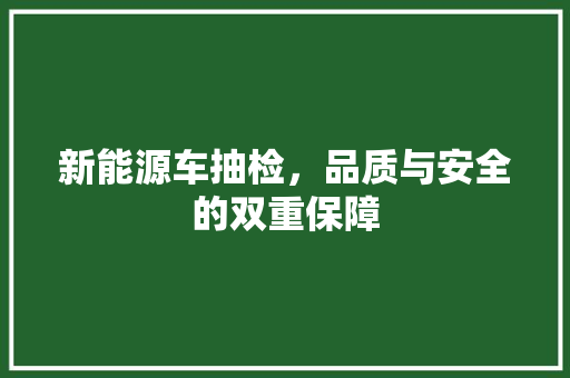 新能源车抽检，品质与安全的双重保障