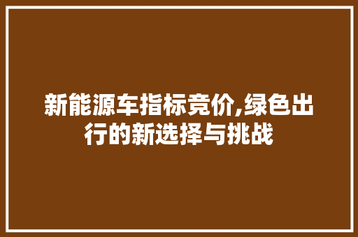 新能源车指标竞价,绿色出行的新选择与挑战