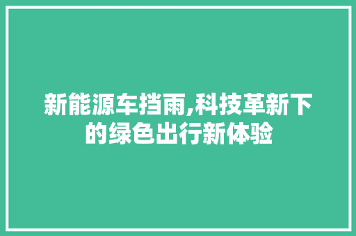 新能源车挡雨,科技革新下的绿色出行新体验