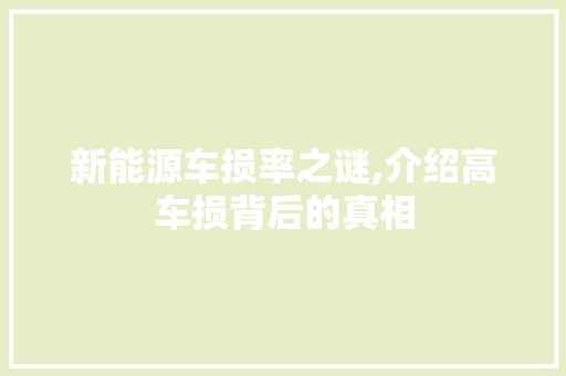 新能源车损率之谜,介绍高车损背后的真相