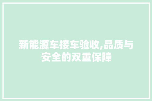 新能源车接车验收,品质与安全的双重保障  第1张