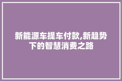 新能源车提车付款,新趋势下的智慧消费之路