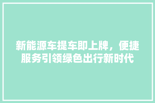 新能源车提车即上牌，便捷服务引领绿色出行新时代