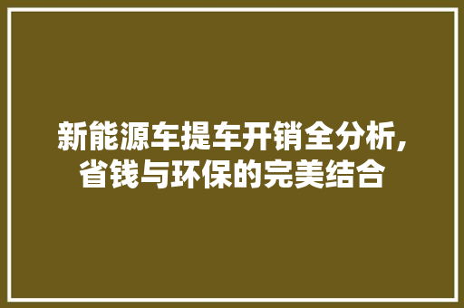 新能源车提车开销全分析,省钱与环保的完美结合