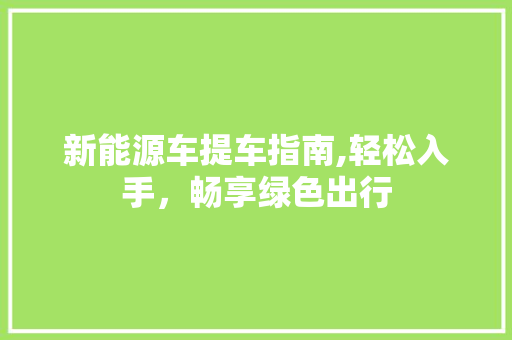 新能源车提车指南,轻松入手，畅享绿色出行  第1张