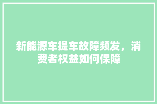 新能源车提车故障频发，消费者权益如何保障