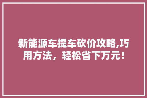 新能源车提车砍价攻略,巧用方法，轻松省下万元！