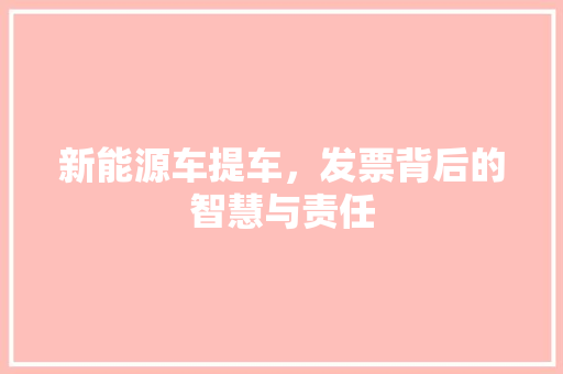 新能源车提车，发票背后的智慧与责任