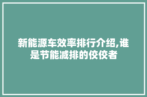 新能源车效率排行介绍,谁是节能减排的佼佼者