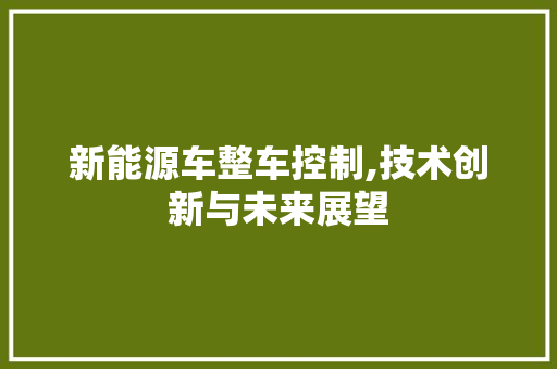 新能源车整车控制,技术创新与未来展望