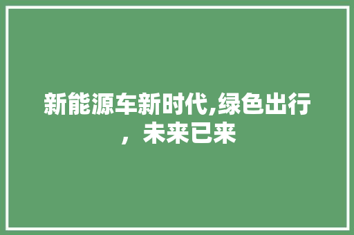 新能源车新时代,绿色出行，未来已来