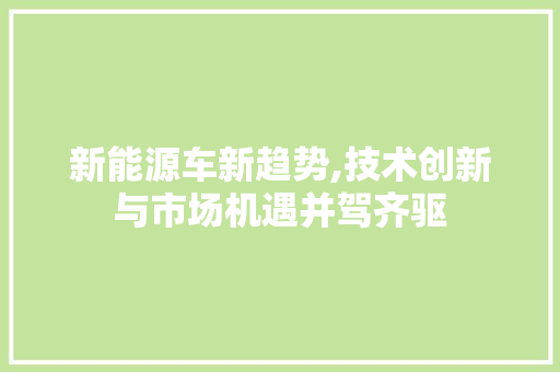 新能源车新趋势,技术创新与市场机遇并驾齐驱