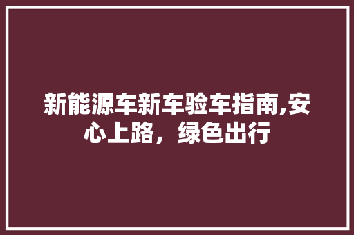 新能源车新车验车指南,安心上路，绿色出行