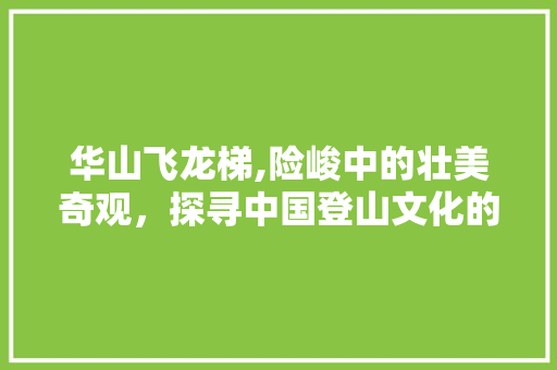 华山飞龙梯,险峻中的壮美奇观，探寻中国登山文化的瑰宝