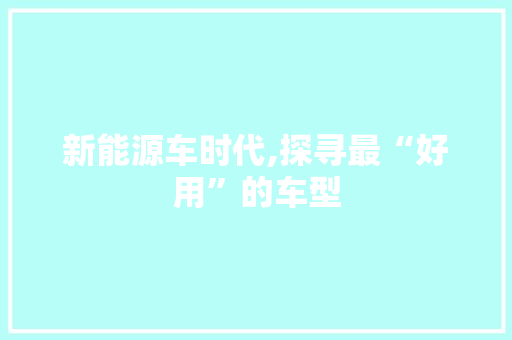 新能源车时代,探寻最“好用”的车型