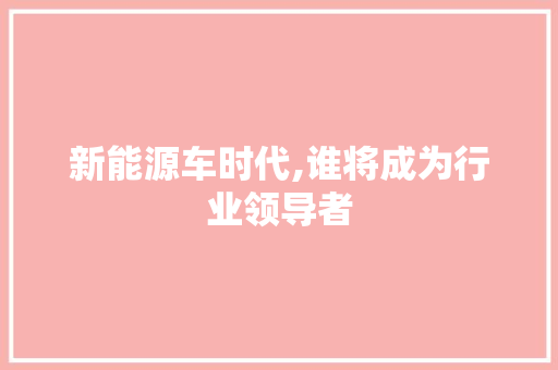 新能源车时代,谁将成为行业领导者