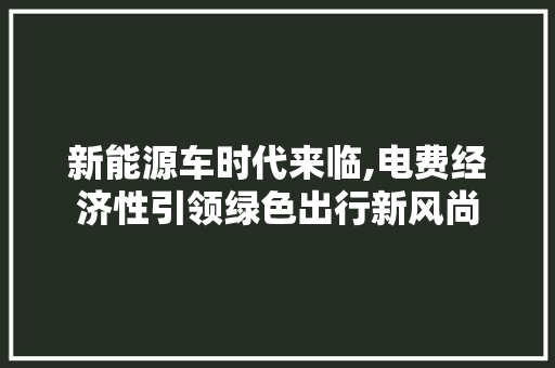 新能源车时代来临,电费经济性引领绿色出行新风尚