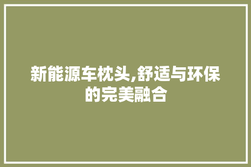 新能源车枕头,舒适与环保的完美融合  第1张