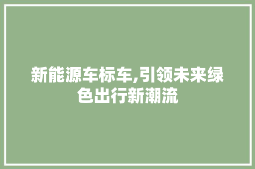 新能源车标车,引领未来绿色出行新潮流