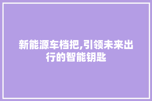 新能源车档把,引领未来出行的智能钥匙