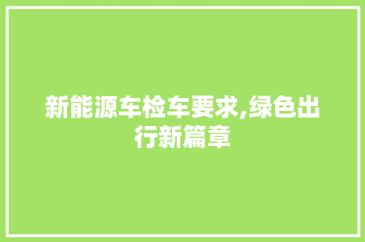 新能源车检车要求,绿色出行新篇章