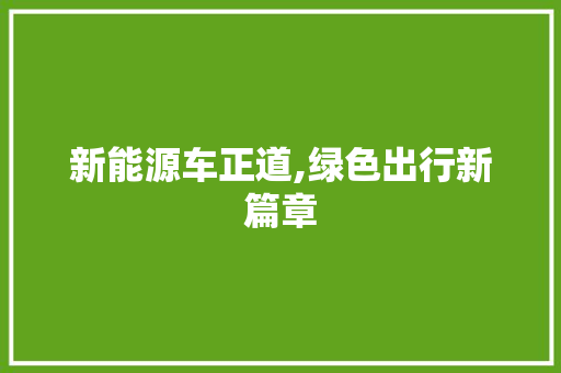 新能源车正道,绿色出行新篇章