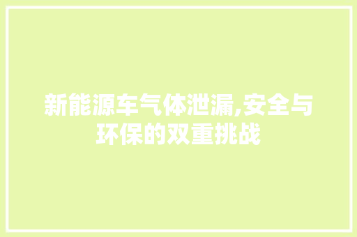 新能源车气体泄漏,安全与环保的双重挑战