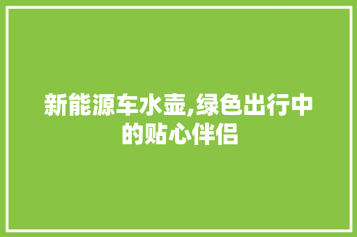 新能源车水壶,绿色出行中的贴心伴侣