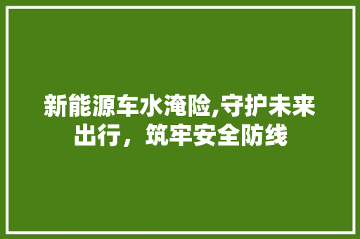 新能源车水淹险,守护未来出行，筑牢安全防线