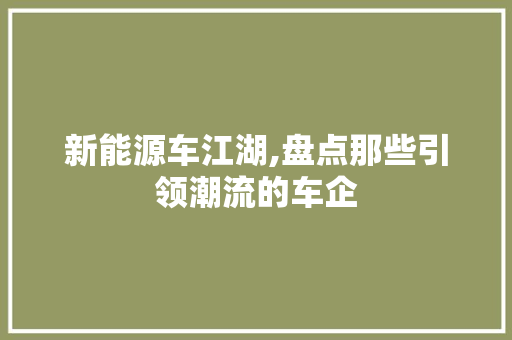 新能源车江湖,盘点那些引领潮流的车企