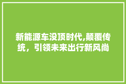 新能源车没顶时代,颠覆传统，引领未来出行新风尚