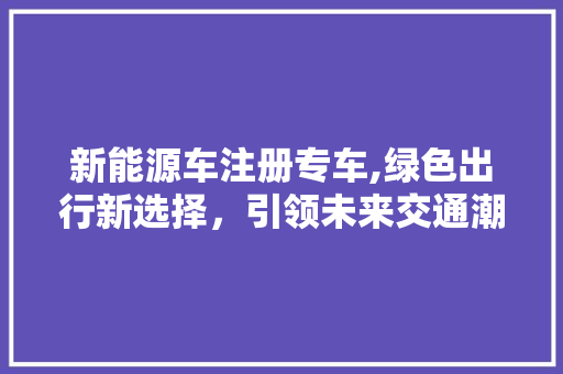 新能源车注册专车,绿色出行新选择，引领未来交通潮流