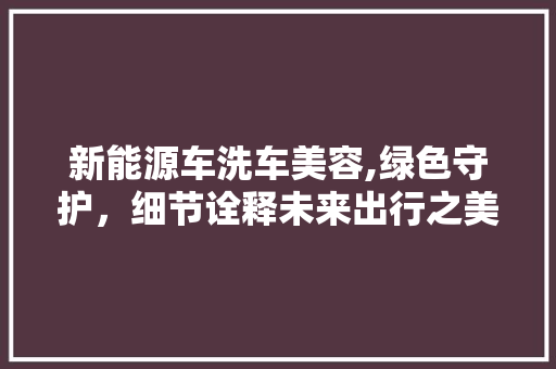 新能源车洗车美容,绿色守护，细节诠释未来出行之美