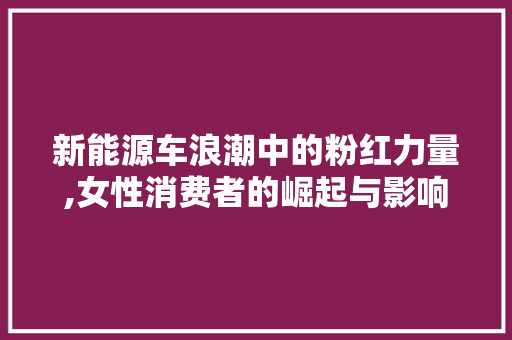 新能源车浪潮中的粉红力量,女性消费者的崛起与影响