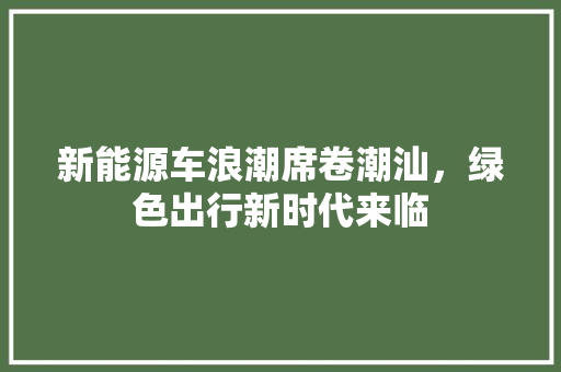 新能源车浪潮席卷潮汕，绿色出行新时代来临