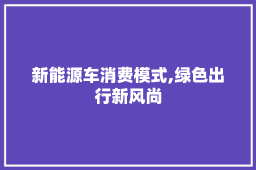 新能源车消费模式,绿色出行新风尚